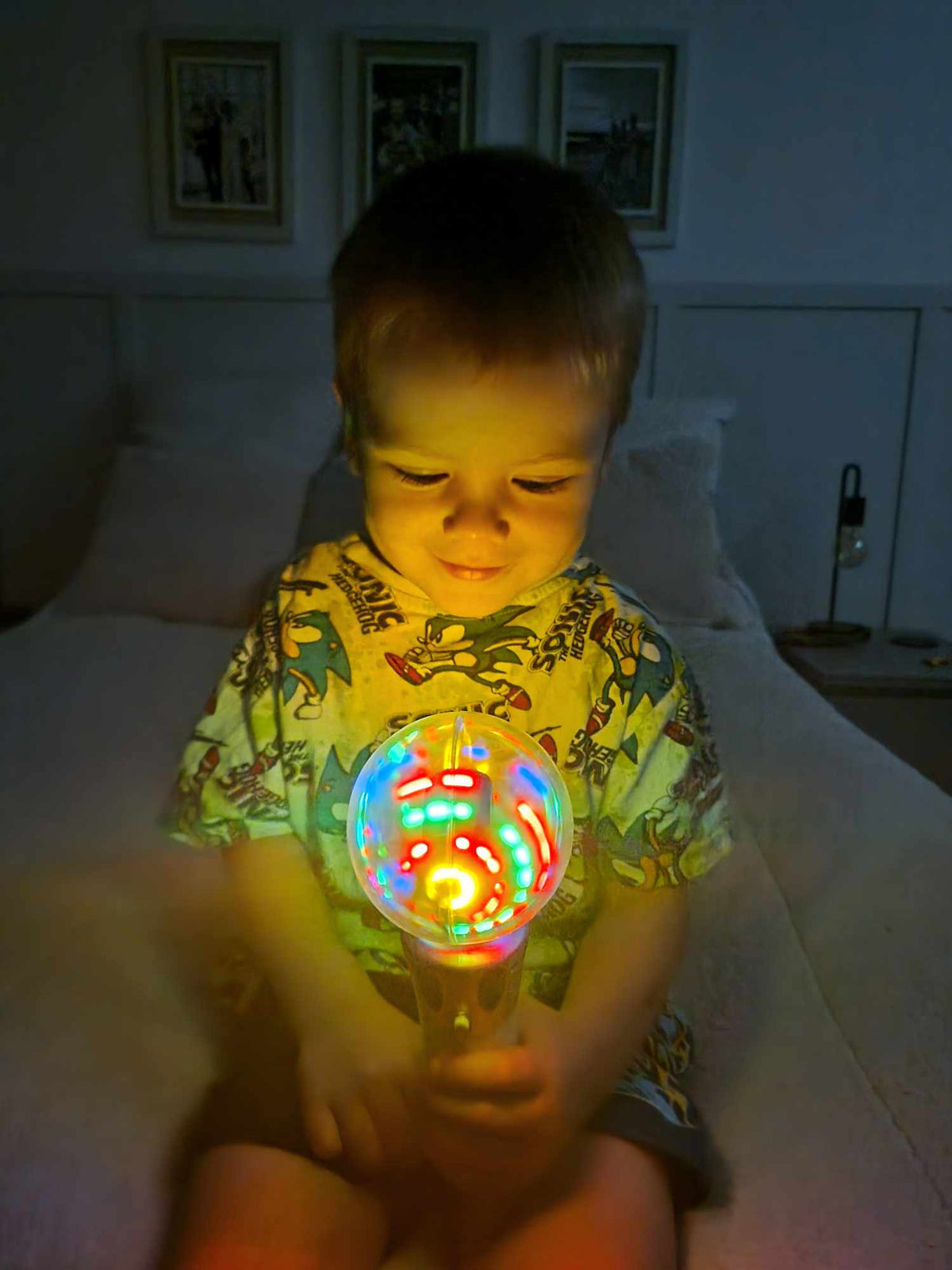 Light-Up Musical Sensory Wand